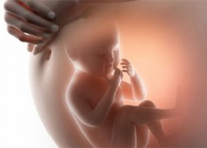 وزن جنین در بارداری
