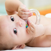 دندان در آوردن نوزاد تا چه سنی انجام می‌شود؟ معمولا اولین جوانه های دندان نوزاد از 6 تا 12 ماهگی مشاهده می‌شود. اما کودکان با هم متفاوت هستند. جالب است بدانید بعضی از نوزادان وقتی به دنیا می‌آیند دندان دارند، بعضی دیگر در 4 ماهگی دندان در می آورند، بعضی در 6 یا حتی 12 ماهگی! اگر تا نوزاد تا 12 ماهگی دندان در نیاورد یا اگر دندان‌هایش تا 4 سالگی کامل نشود باید او را به دکتر ببرید. چه زماین جوانه های دندان نوزاد نمایان می‌شود؟ همانطور که قبلا گفتیم دندان‌های شیری نوزاد معمولا بین 6 تا 12 ماهگی جوانه می‌زنند. اما اکثر نوزادان اولین دندان را در جشن تولد 1 سالگی می‌بینند. جدول زمانی در آمدن دندان‌های بالای نوزاد به صورت زیر است: دندان‌های پیشین مرکزی: 8 تا 12 ماهگی دندان‌های پیشین کناری:‌9 تا 13 ماهگی دندان‌های نیش: 16 تا 22 ماهگی دندان‌های آسیای اول: 13 تا 19 ماهگی دندان‌های آسیای دوم: 25 تا 33 ماهگی و جدول زمانی دندان‌های پایین عبارت ست از: دندان‌های پیشین مرکزی: 6 تا 10 ماهگی دندان‌های پیشین کناری: 10 تا 16 ماهگی دندان‌های نیش: 17 تا 23 ماهگی دندان‌های آسیای اول: 14 تا 18 ماهگی دندان‌های آسیای دوم: 23 تا 31 ماهگی معمولا در فاصله 27 تا 33 ماهگی دندان‌های کودک کامل می‌شود. یا حدود 3 سالگی. اما اگر دندان در آوردن تا 4 سالگی هم ادامه پیدا کند اشکالی ندارد. به خاطر داشته باشید که این زمانبندی تقریبی بوده و زمان دندان در آوردن کودک شما شاید متفاوت باشد. چه زمانی دیر دندان در آوردن نوزاد غیر عادی محسوب می‌شود؟ دیر در آمدن دندان زمانی غیر نرمال است که دیرتر از زمانبندی اشاره شده باشد. برای اولین دندان بین 12 تا 24 ماهگی غیر نرمال است. برای دندان‌های دیگر اگر تا 4 سالگی دندان‌ها تکمیل نشود غیر نرمال است. در چنین مورادی باید حتما به دندانپزشک مراجعه نمایید. علت دیر درآمدن دندان نوزاد چیست؟ چندین دلیل برای دیر درآمدن دندان وجود دارد. گاهی دیر دندان در آوردن نشانه مساله و عارضه دیگری است. علت‌های دیر دندان در آودن عبارتست از: نوزاد زودرس یا کم وزن در زمان تولد در مورد نوزادان نارس و زودرس احتمال تاخیر رشد بیشتر است. نوزادان کم وزن هم ممکن است همین حالت را داشته باشند و دندان آنها دیرتر جوانه بزند. سوء تغذیه تغذیه مناسب در بارداری و کودکی برای رشد مناسب ضروری است. سوء تغذیه می‌تواند منجر به دیر دندان درآوردن شود. در این حالت تاخیر از 1 تا 4 ماه خواهد بود. سندرم‌ها بعضی از سندرم‌ها می‌توانند باعث دیر دندان در آوردن شوند: سندرم داون سندرم اپرت (Apert syndrome) سندرم الیس ورن کرولد (Ellis-van Creveld syndrome) سندرم هاچینسون گیلفورد پروگریا (Hutchinson-Gilford progeria syndrome) سندرم زیمرمان-لاباند 1 (Zimmermann-Laband-1 syndrome) سندرم اکسنفلد-ریگر (Axenfeld–Rieger Syndrome) اختلالات رشد دیر در آمدن دندان می‌تواند به علت اختلالات رشد اتفاق بیفتد: دیسوستوزیسِ کولیدروکانیال دیسپلازی اکتودرمی دیسپلازی دندانی موضعی اختلالات عملکرد تیروئید سیستم غدد درون ریز مسئول تولید هورمون‌ها است. بعضی از هورمون‌ها رشد بدن را تنظیم می‌کنند. بیماری‌های غدد درون ریز باعث دیر دندان در آوردن می‌شود: کم کاری تیروئید کم کاری غده هیپوفیز کم کاری پاراتیروئید ژنتیک اگر در خانواده شما کسی دیر دندان درآورده باشد احتمال دارد کودک هم همین گونه باشد. همین طور اگر کسی در حانواده عارضه‌های اشاره شده در بالا را داشته باشد ممکن است کودک هم آنرا به ارث ببرد. آیا دیر دندان در آوردن کودک خطر دارد؟ معمولا دیر دندان در آوردن باعث نگرانی نیست. اما اگر از میانگین زمانی دیرتر باشد ممکن است نشانه مشکل دیگری باشد. دیر دندان در آوردن کودک چه عوارضی دارد؟ مشکل در جویدن غذا مشکلات تکلم مشکل در نشان دادن ژست‌های صورت مثل اخم یا لبخند چه زمانی باید به دندانپزشک مراجعه کرد؟ اگر اولین درندان نوزاد تا 12 ماهگی هنوز نمایان نشده یا اگر تا 4 سالگی دندانهایش کامل نشده او را به دندانپزشک ببرید. ممکن است دندانپزشک برای یافتن علت شما را به متخصص دیگری ارجاع دهد. علائم دیگری که در صورت مشاهده مراجعه به دندانپزشک ضروری است: نداشتن بعضی از دندان‌ها دندان‌های با فاصله خیلی زیاد دندان‌های خیلی کوچک یا خیلی بزرگ علائم پوسیدگی دندان کودک با وجود درآمدن دندانهای دائمی دندان شیری نمی‌افتد اگر در زمان دندان در آوردن دمای بدن نوزاد کمی بالا باشد اشکالی ندارد اما تب نشانه مشکل دیگر است. وقتی که اولین دندان نوزاد در می‌آید بهتر است او را به دندانپزشک ببرید.